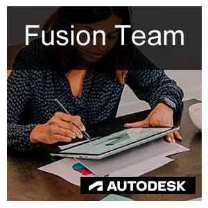 C1FJ1-007163-V111 Fusion Team - Single User Commercial Annual Subscription Renewal