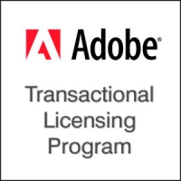 38003256AD01A00 Freehand 11 Windows Espaol 1 User 1+